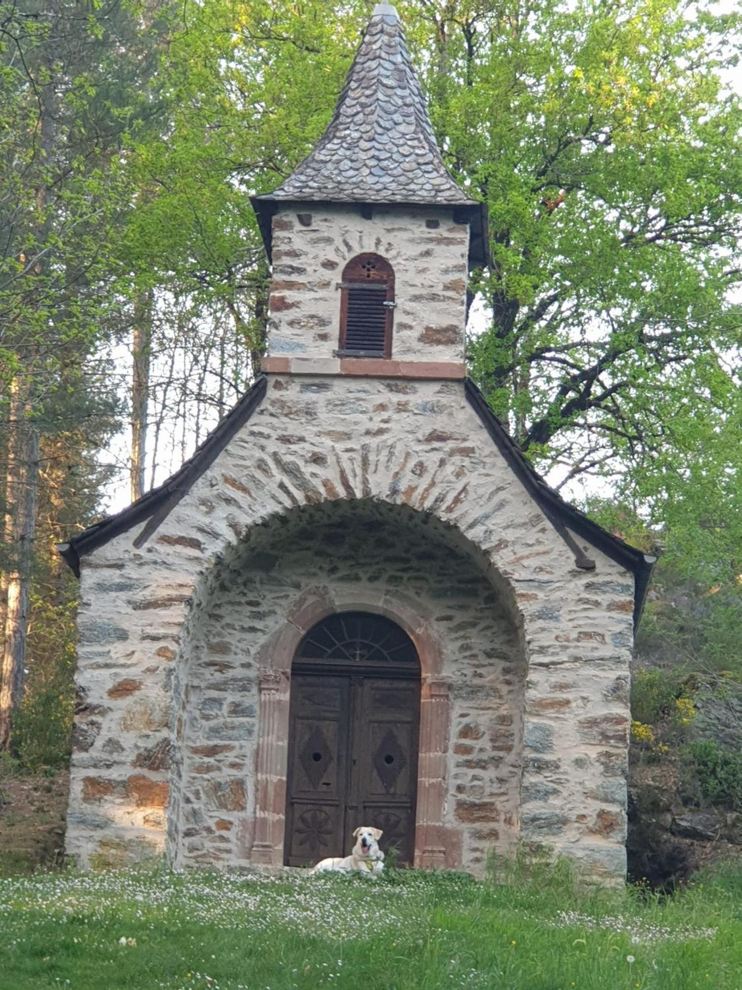 Aux Gorges Du Dourdou Hotell Conques-en-Rouergue Exteriör bild
